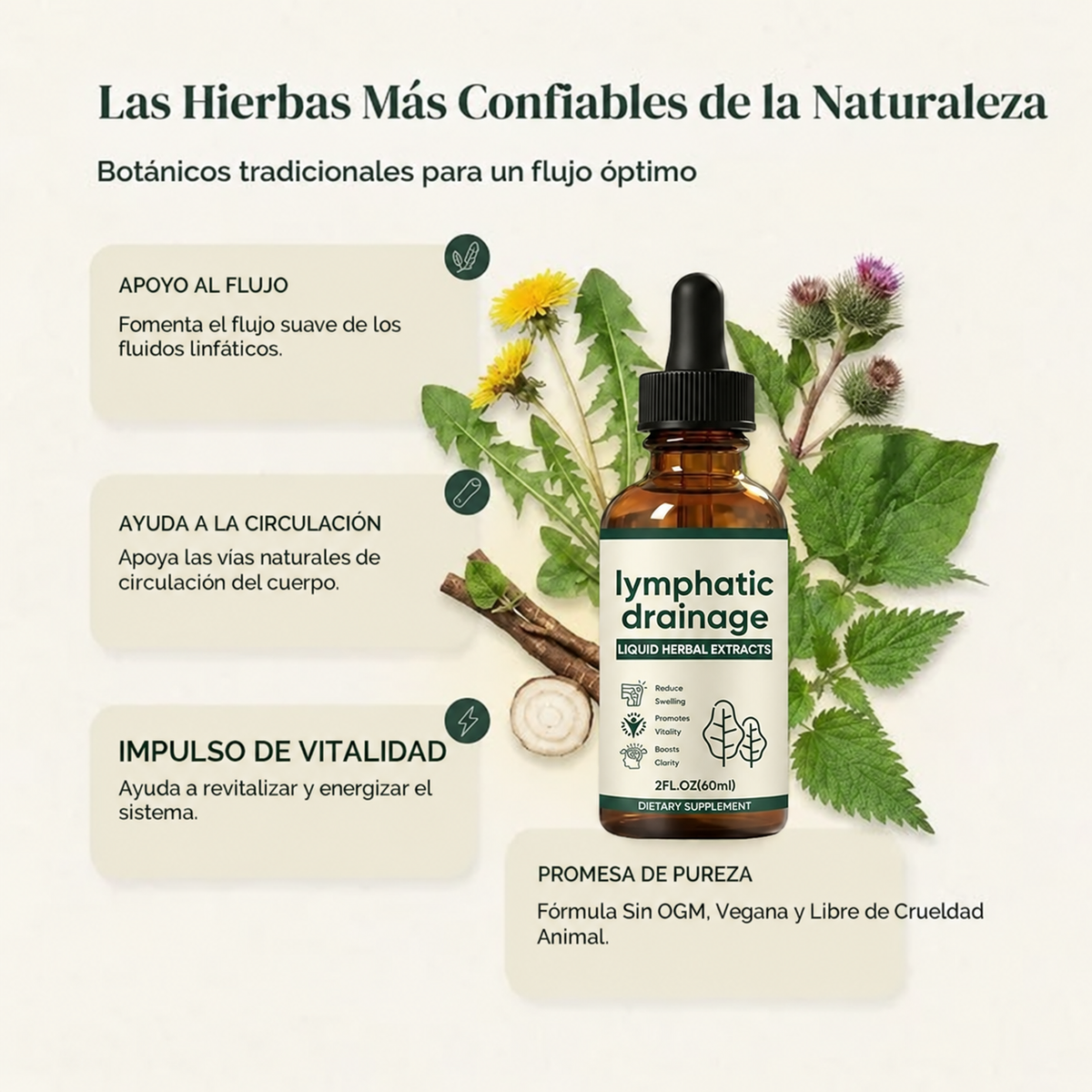 Gotas de Drenaje Linfático Alivio de Hinchazón y Retención