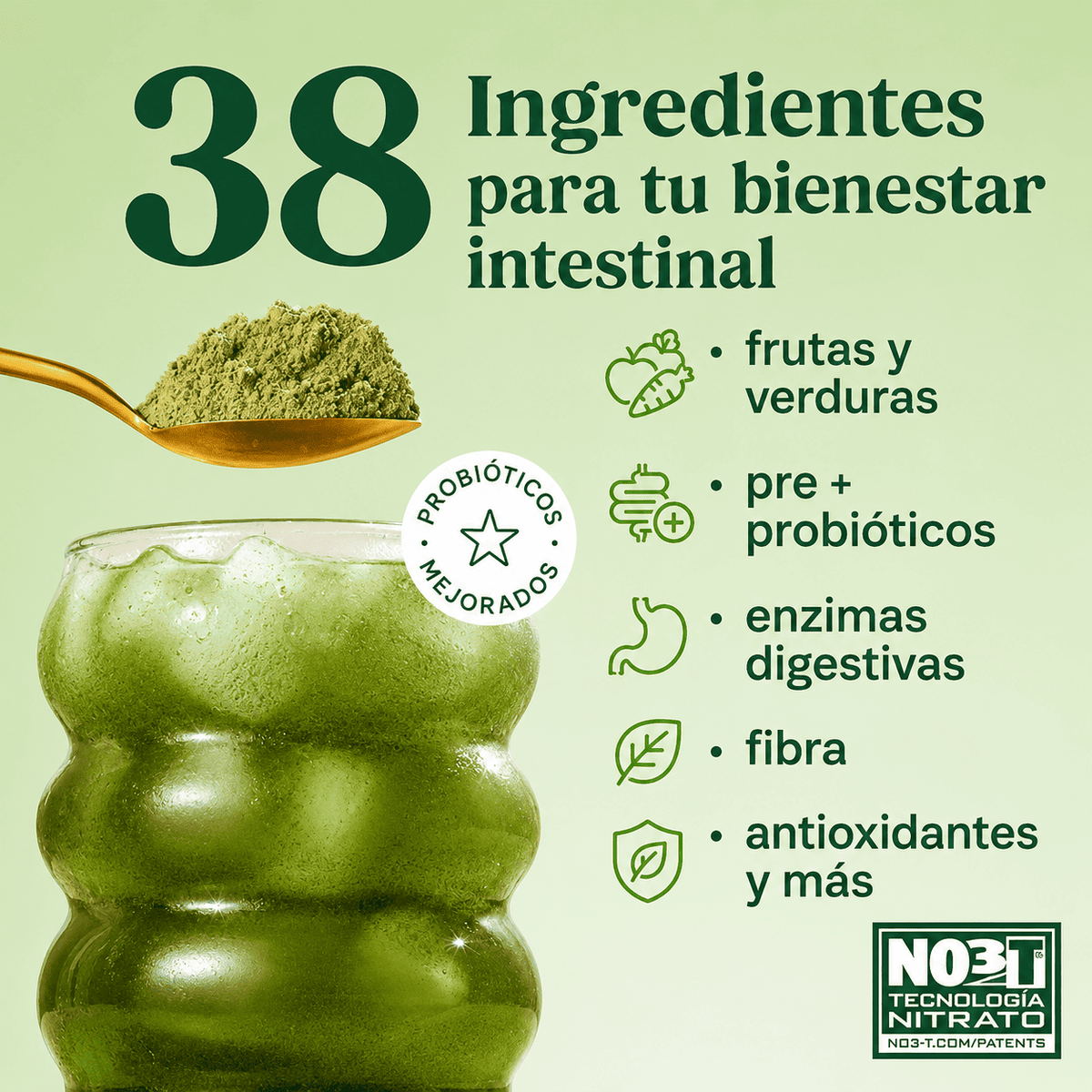 Bloom® Original Greens & Superfoods Fresa Kiwi con Probióticos y Enzimas Digestivas