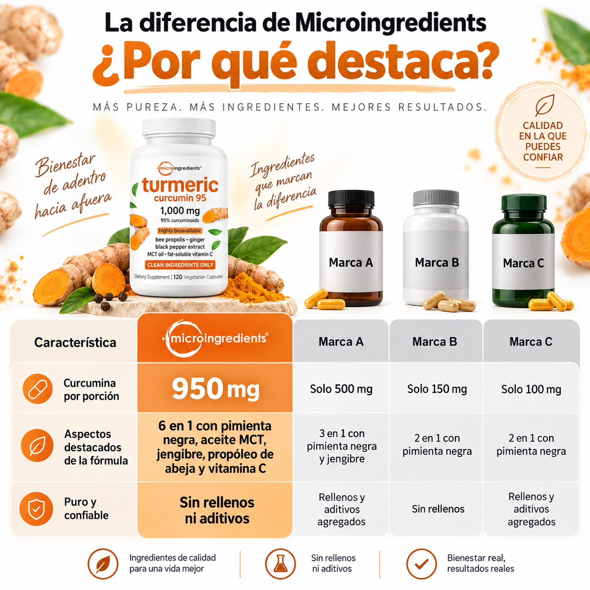 Turmeric Curcumin 95™ Soporte Avanzado para Articulaciones y Movilidad
