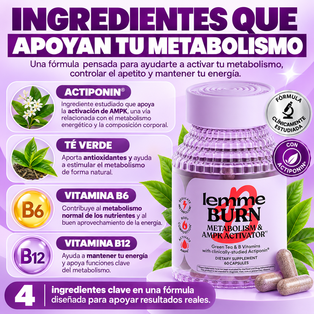 Suplemento Quemador de Grasa Abdominal Activador de AMPK y Metabolismo