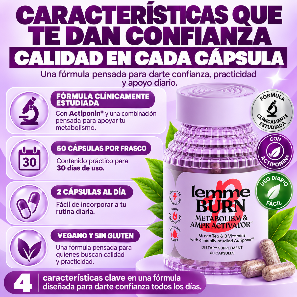 Suplemento Quemador de Grasa Abdominal Activador de AMPK y Metabolismo