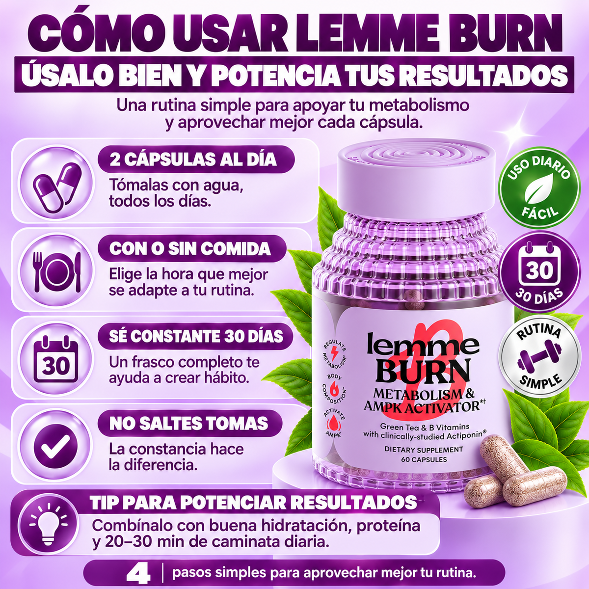 Suplemento Quemador de Grasa Abdominal Activador de AMPK y Metabolismo